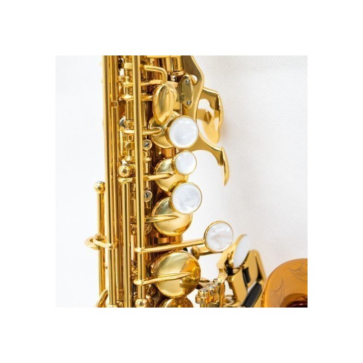 Acquista RIPAMONTI 5020VFRR SASSOFONO SOPRANO CURVO SIb online | Merula Strumenti Musicali