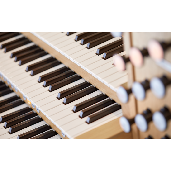 johannus live 3p organo