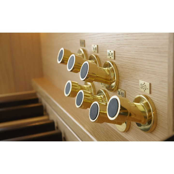 johannus ecclesia d-350 + ul speakers