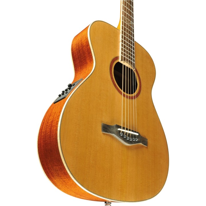 Acquista EKO Evo A350e Baritone online | Merula Strumenti Musicali