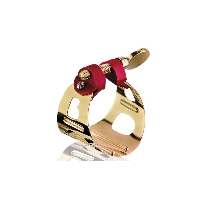 Acquista BG LD0 LEG DUO SAX ALTO+CLA BB, LACCATA ORO online | Merula Strumenti Musicali