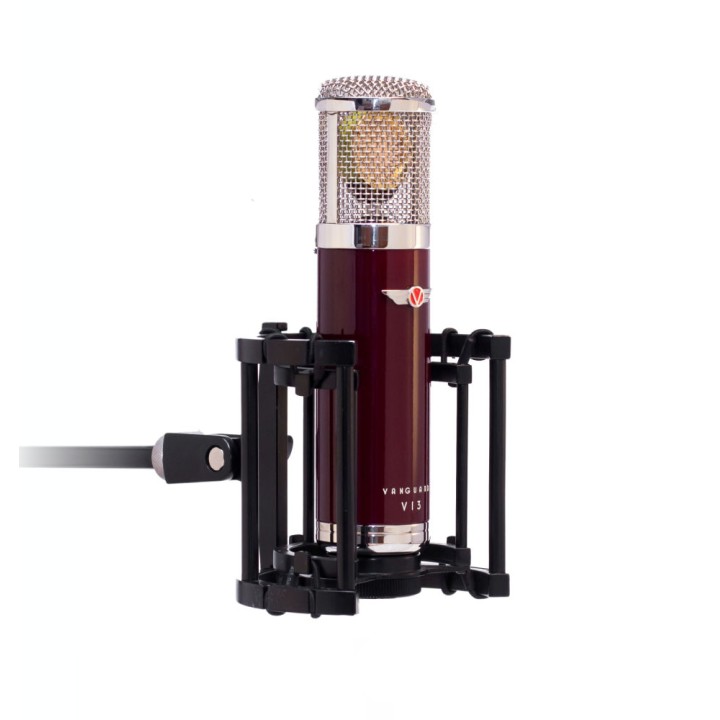 Acquista VANGUARD V13 online | Merula Strumenti Musicali