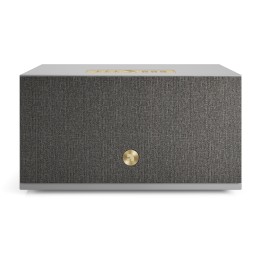 Acquista AUDIO PRO C10 MKII | GREY online | Merula Strumenti Musicali