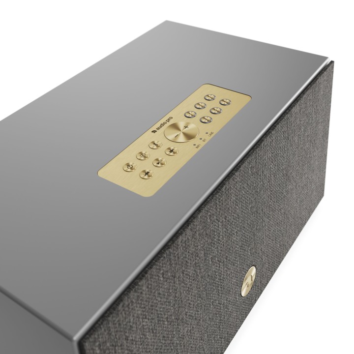 Acquista AUDIO PRO C10 MKII | GREY online | Merula Strumenti Musicali