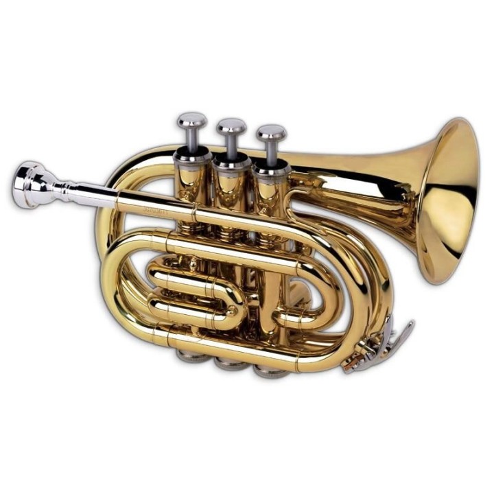 Acquista COMET TROMBA POCKET SIB online | Merula Strumenti Musicali
