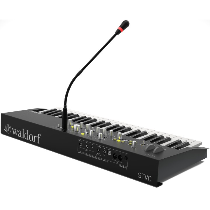 Acquista WALDORF STVC online | Merula Strumenti Musicali