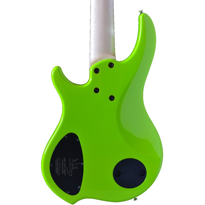 Acquista DINGWALL NG3-FG5 NOLLY SIGNATURE online | Merula Strumenti Musicali