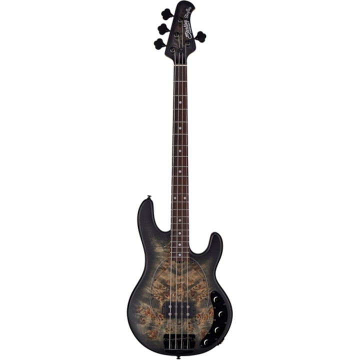 Acquista STERLING Stingray Ray34pb 4 Poplar Burl Trans Black Satin online | Merula Strumenti Musicali