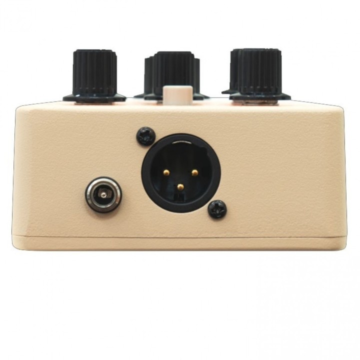 Acquista ORANGE ACOUSTIC PEDAL | Merula Strumenti Musicali