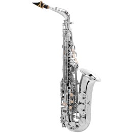 Acquista SELMER SAX ALTO SA80 II JUBILE AG online | Merula Strumenti Musicali