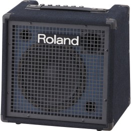 Acquista ROLAND KC-80 online | Merula Strumenti Musicali