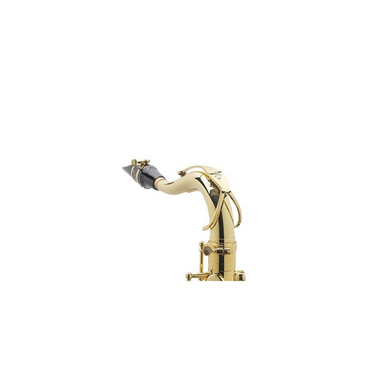 Acquista SELMER SAX TENORE AXOS GG COMPLET online | Merula Strumenti Musicali