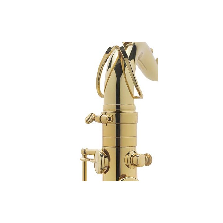 Acquista SELMER SAX TENORE AXOS GG COMPLET online | Merula Strumenti Musicali