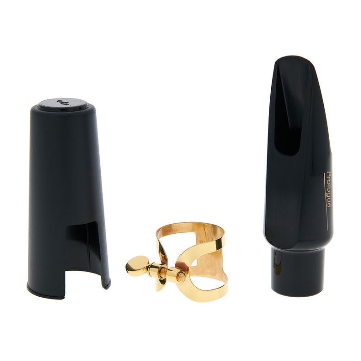Acquista SELMER BOCCHINO SELES PROLOGUE SAX ALTO COMPLET NOUVEAUTE online | Merula Strumenti Musicali