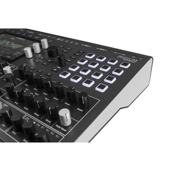 Acquista WALDORF IRIDIUM online | Merula Strumenti Musicali