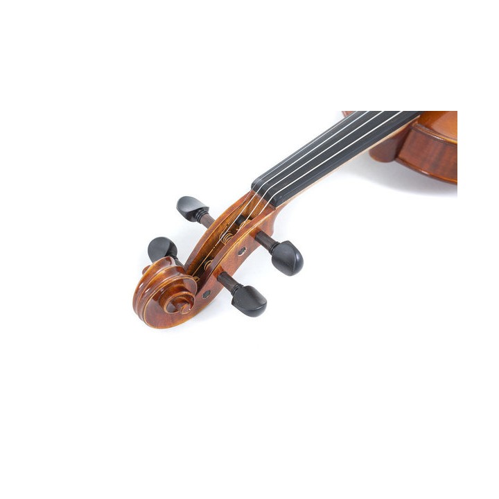 Acquista GEWA GS4000712116 VIOLINO 4/4 MAESTRO 1 online | Merula Strumenti Musicali