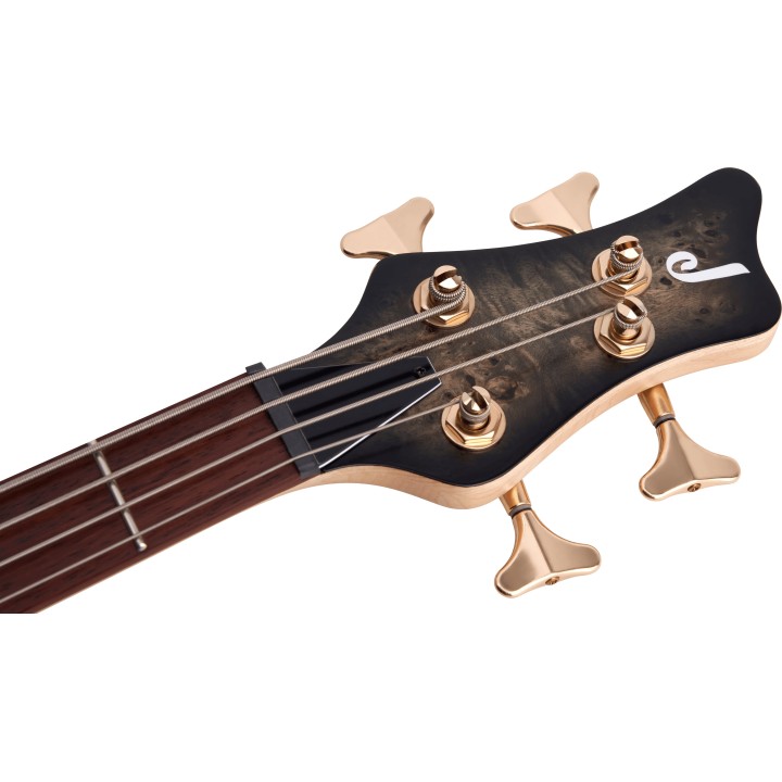 Acquista JACKSON PRO SERIES SPECTRA BASS SBP IV 2919914585 online | Merula Strumenti Musicali