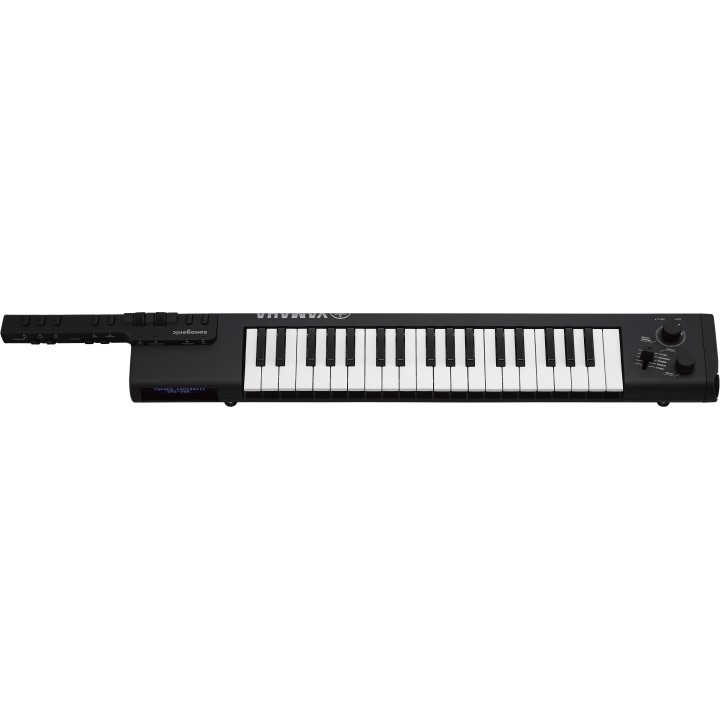 Acquista YAMAHA SHS500B online | Merula Strumenti Musicali
