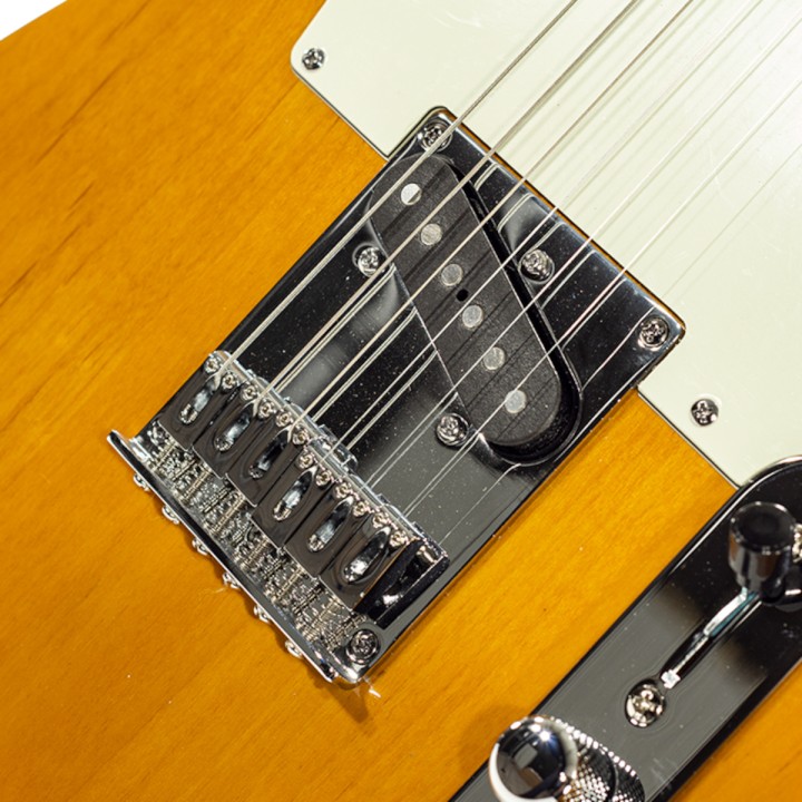 Acquista SCHECTER PT ROUTE 66 ADRIAN online | Merula Strumenti Musicali