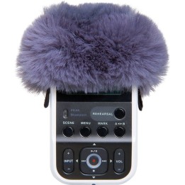 Roland - R07-Ws