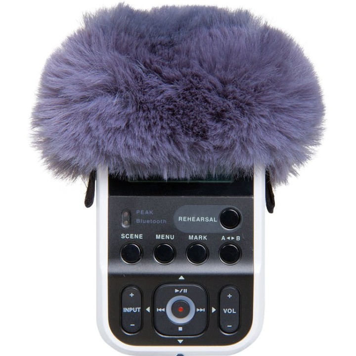 Roland - R07-Ws