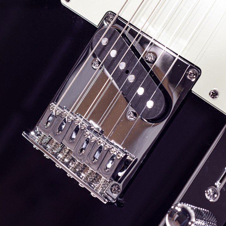Acquista SCHECTER PT R66 ARLINGTON online | Merula Strumenti Musicali