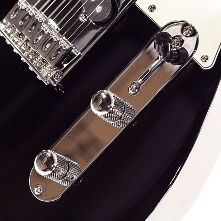 Acquista SCHECTER PT R66 ARLINGTON online | Merula Strumenti Musicali