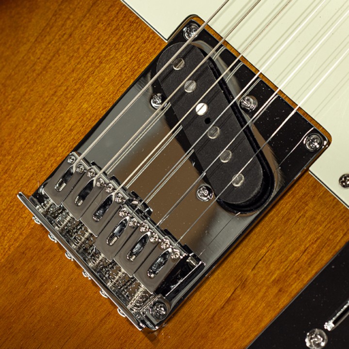 Acquista SCHECTER Pt R66 Williams online | Merula Strumenti Musicali