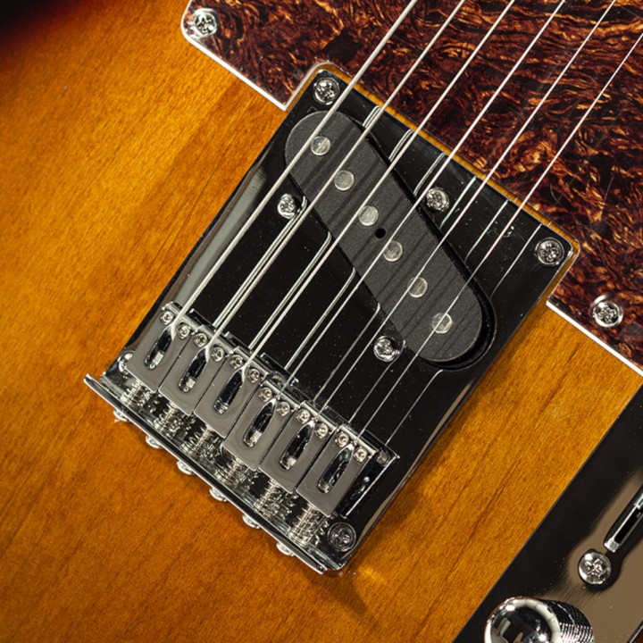 Acquista SCHECTER PT R66 WILLIAMS VINTAGE online | Merula Strumenti Musicali