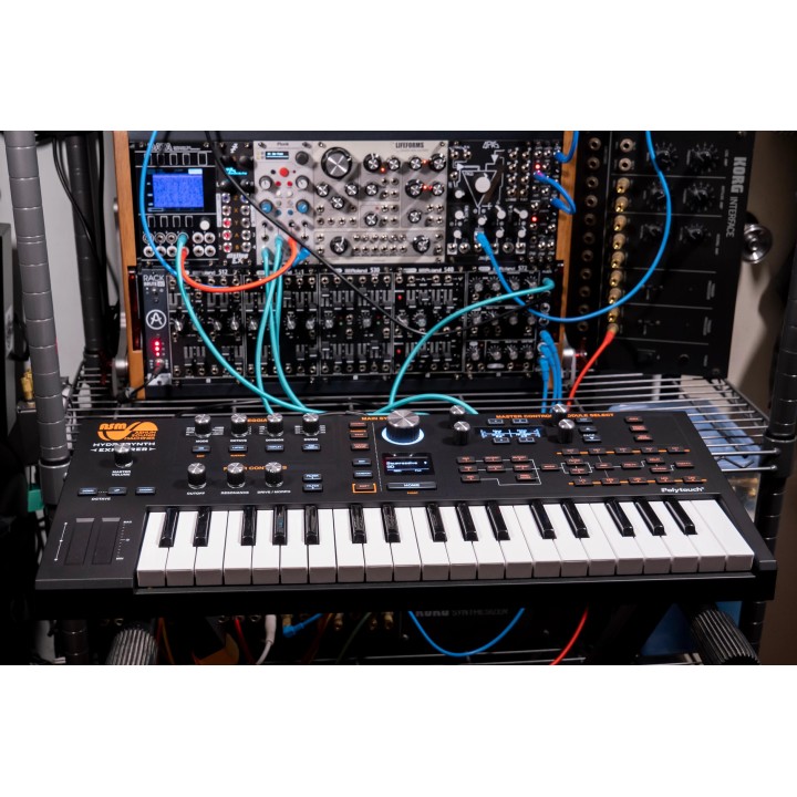 Acquista ASM Hydrasynth Explorer online | Merula Strumenti Musicali