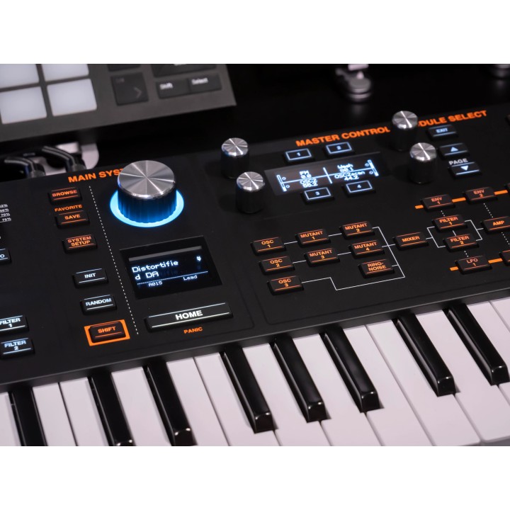 Acquista ASM Hydrasynth Explorer online | Merula Strumenti Musicali