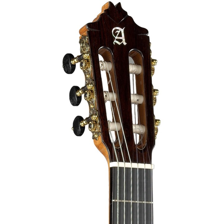 Acquista ALHAMBRA 9P CW E8 online | Merula Strumenti Musicali