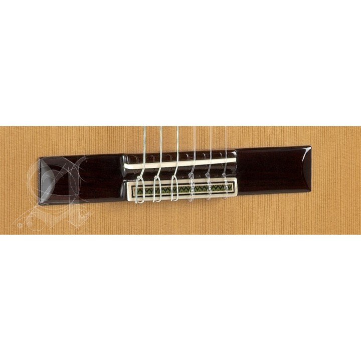 Acquista ALHAMBRA 9P CW E8 online | Merula Strumenti Musicali