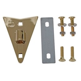 Acquista LATIN PERCUSSION LP218B PLACCA LATERALE CONGA CLASSIC GOLD online | Merula Strumenti Musicali