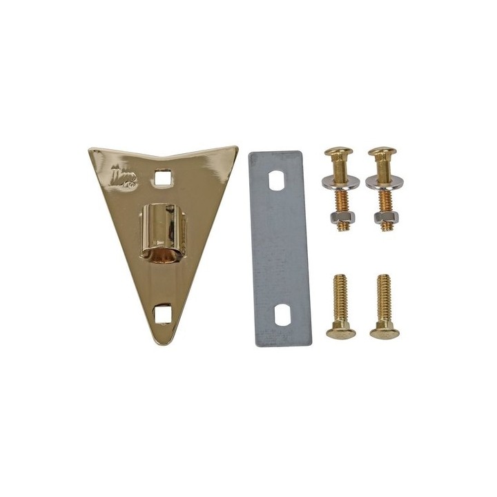 Acquista LATIN PERCUSSION LP218B PLACCA LATERALE CONGA CLASSIC GOLD online | Merula Strumenti Musicali