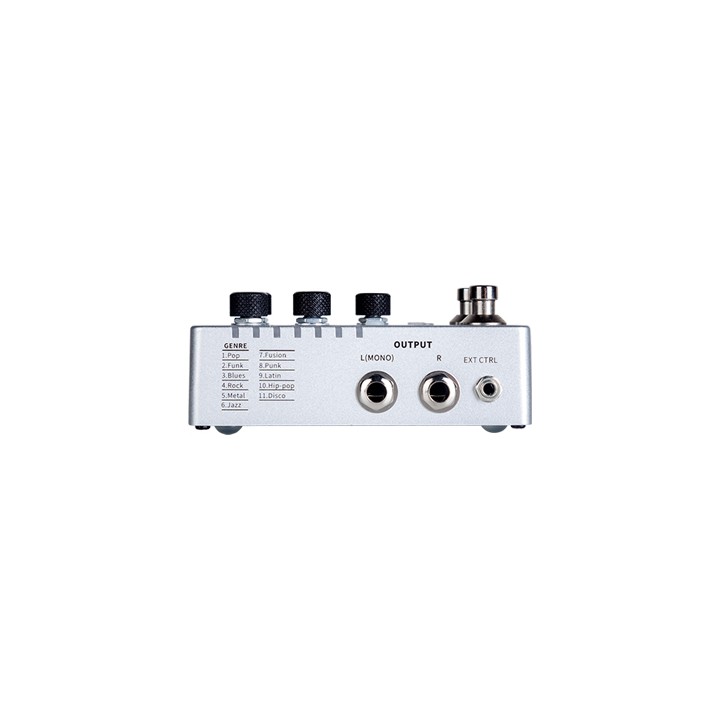 Acquista MOOER GROOVE LOOP X2 online | Merula Strumenti Musicali
