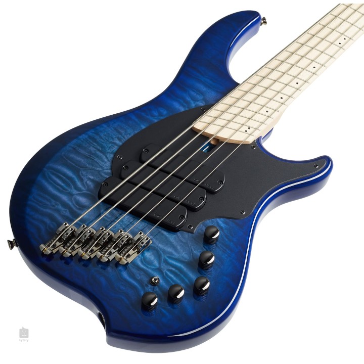 Acquista DINGWALL Cb3-Ib5m Combustion, Maple, Indigo Burst online | Merula Strumenti Musicali