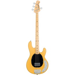 Acquista STERLING St Stingr Clas 24 H Act 2eq Butter Scotch online | Merula Strumenti Musicali