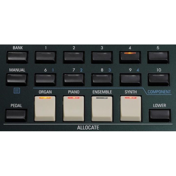 Acquista HAMMOND SK PRO 61 online | Merula Strumenti Musicali