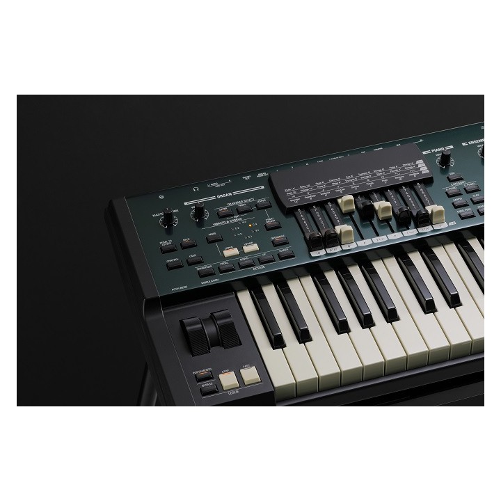 Acquista HAMMOND SK PRO 61 online | Merula Strumenti Musicali