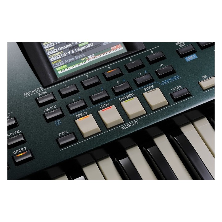 Acquista HAMMOND SK PRO 73 online | Merula Strumenti Musicali