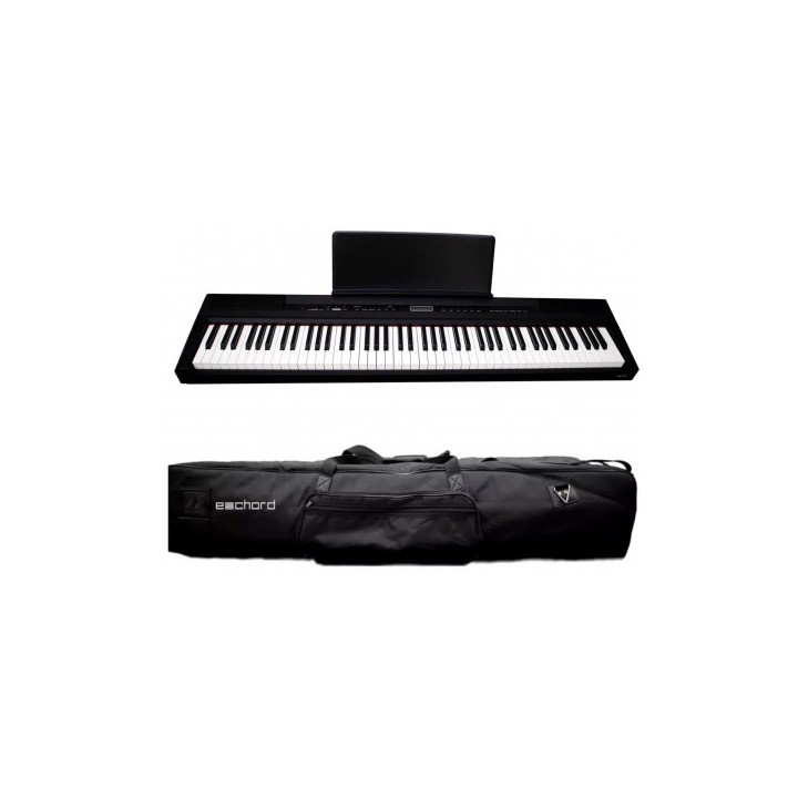 Acquista ECHORD B-10 online | Merula Strumenti Musicali
