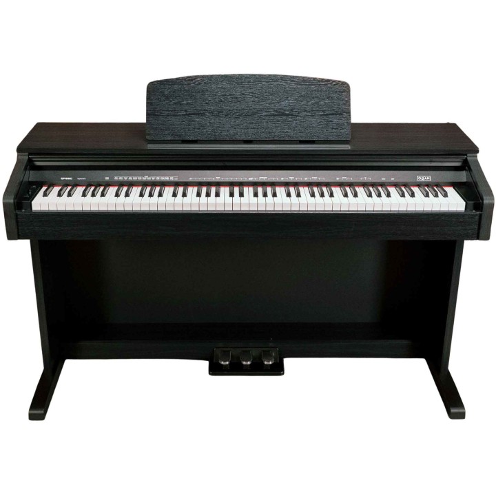 Acquista OQAN QP88C online | Merula Strumenti Musicali