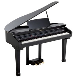 Acquista ORLA GRAND 120 BLACK online | Merula Strumenti Musicali