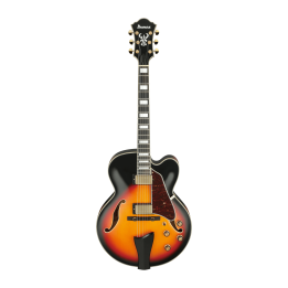 Acquista IBANEZ AF95BS online | Merula Strumenti Musicali