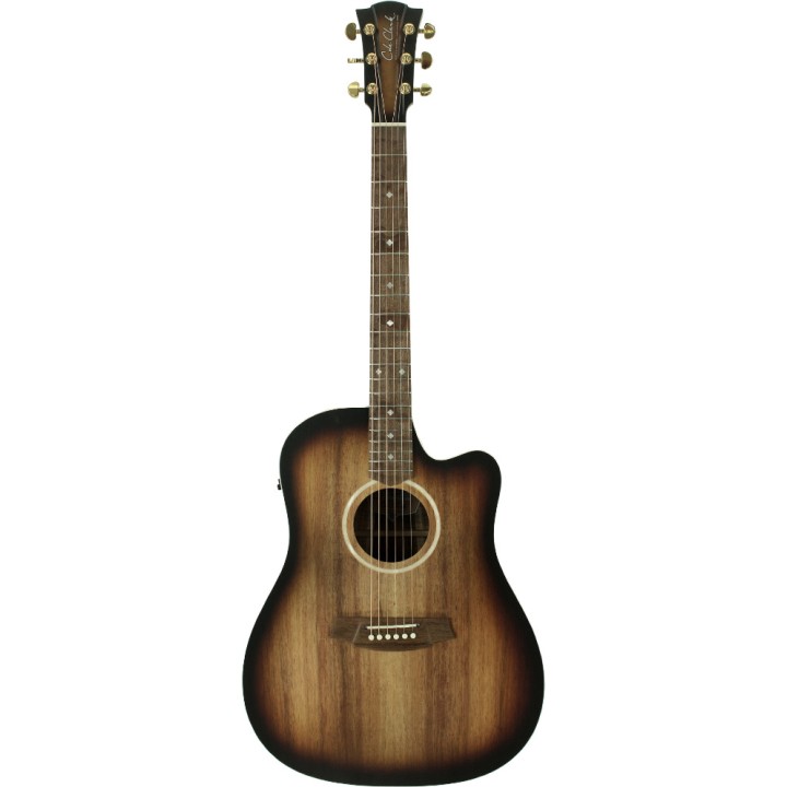 Acquista COLE CLARK FL2EC-BLBL-SUN online | Merula Strumenti Musicali