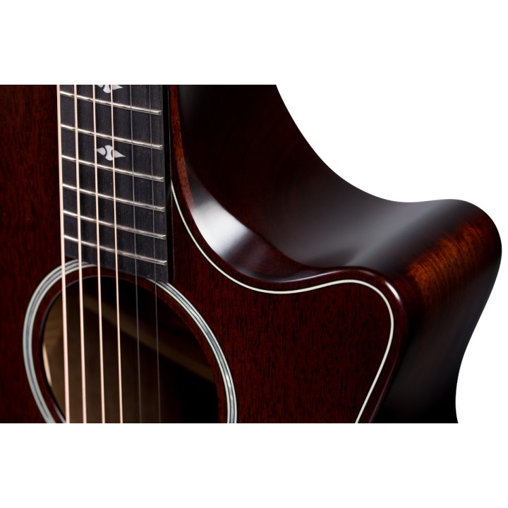 Taylor - Builder's Edition 324ce V-Class (Tm) 