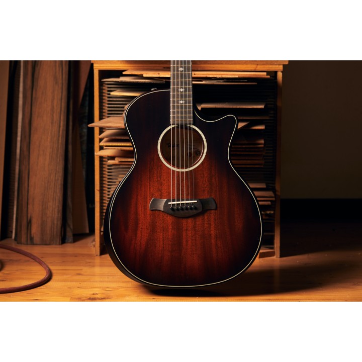 Taylor - Builder's Edition 324ce V-Class (Tm) 