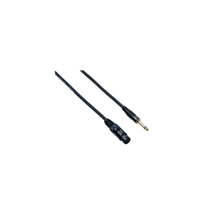 Acquista BESPECO EAJXF500 online | Merula Strumenti Musicali