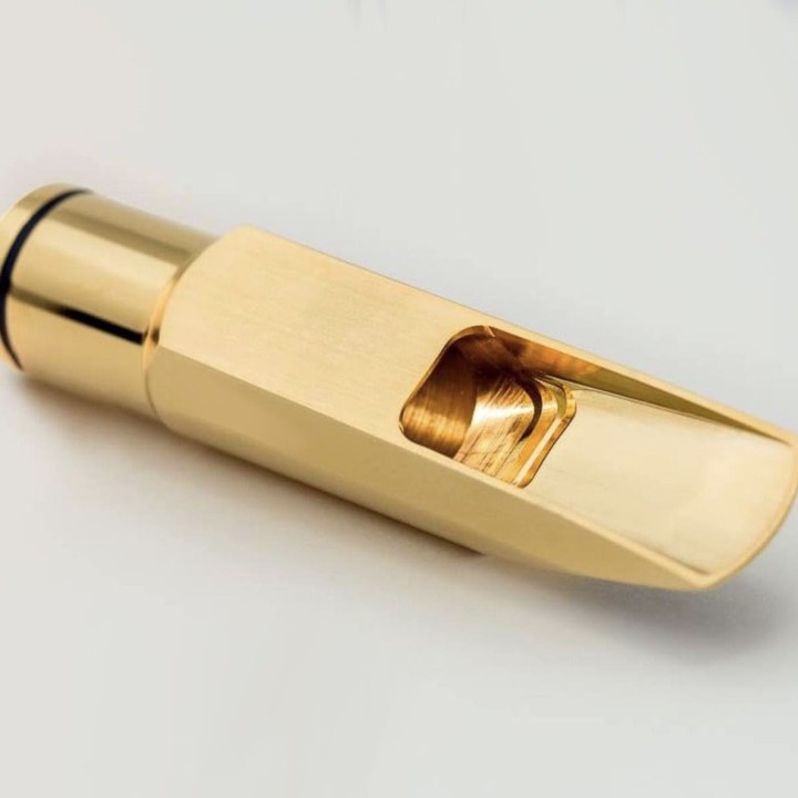 Acquista BARKLEY BOCCHINO SAX ALTO VERDOT 8 GOLD online | Merula Strumenti Musicali